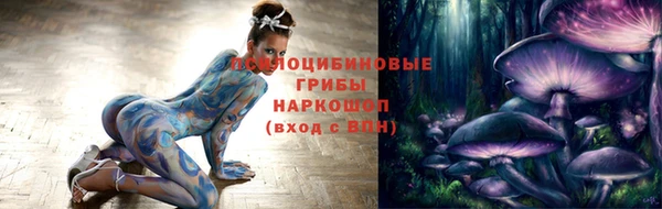 тгк Пересвет