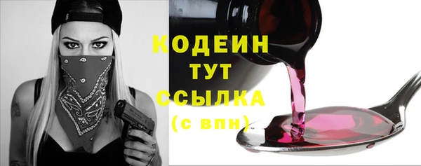 тгк Пересвет