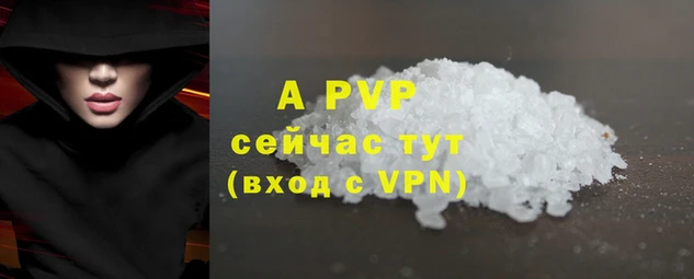 тгк Пересвет