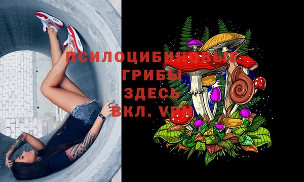 соль курить ск Покачи