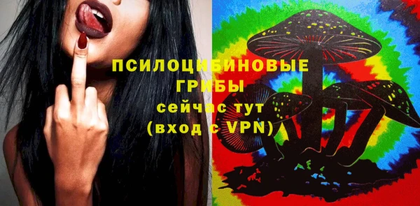тгк Пересвет