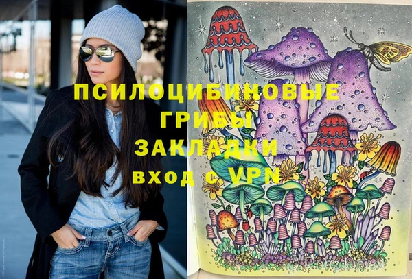 ПСИЛОЦИБИНОВЫЕ ГРИБЫ Кондопога