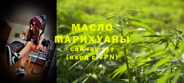 тгк Пересвет