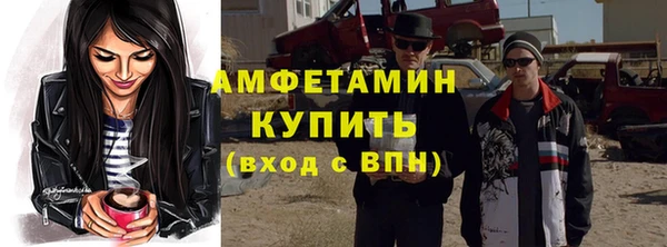 прущие грибы Елабуга